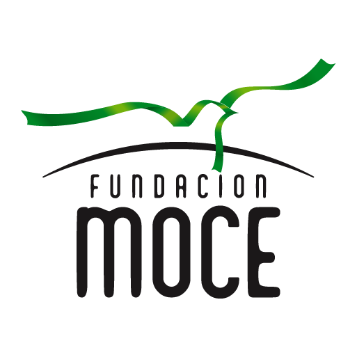 Fundacion MOCE