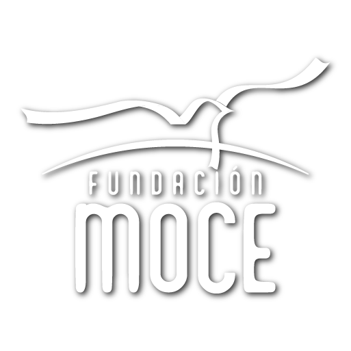 Fundacion MOCE