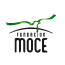 Fundacion MOCE